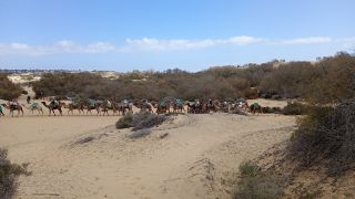 GC-Camello Safari (Maspalomas)-48.jpg